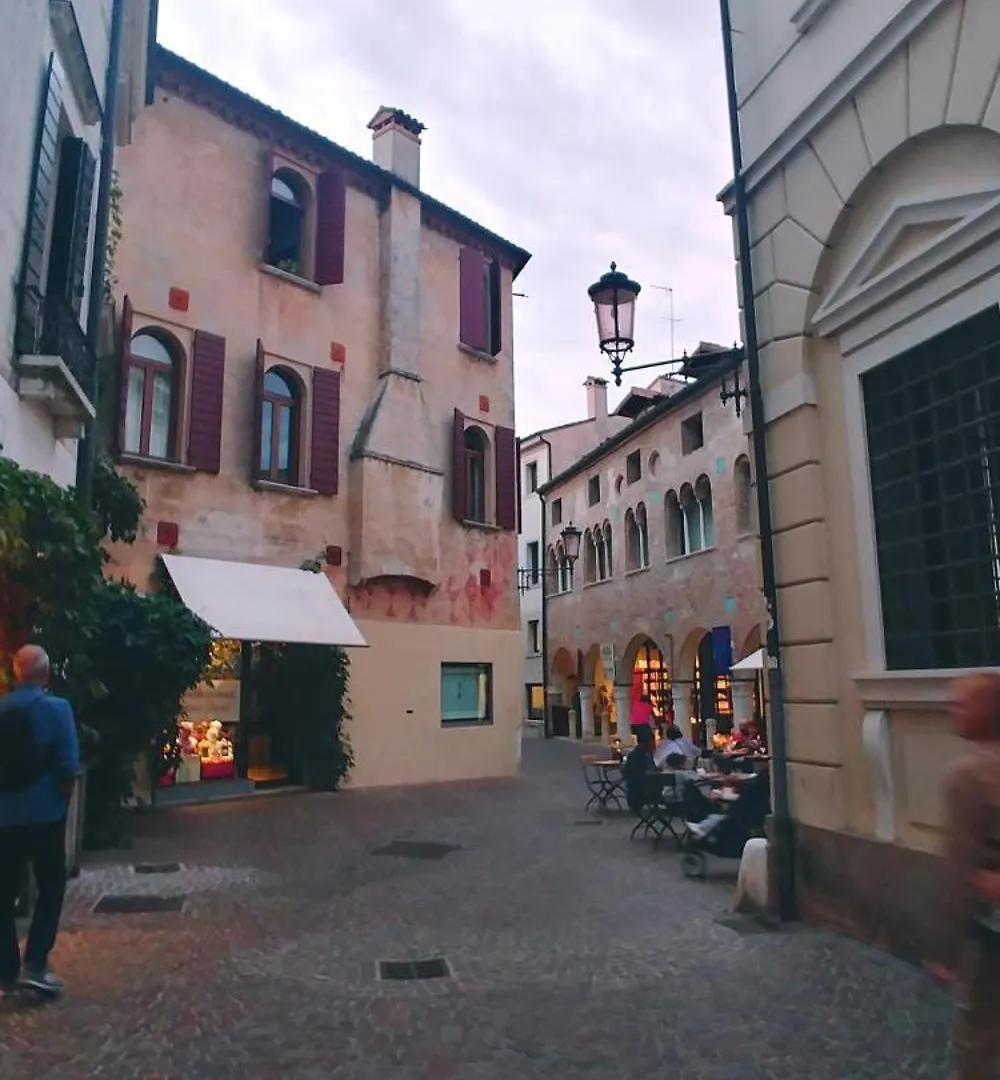 Appartamento Ampi Spazi, A Piedi In Centro. Treviso